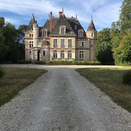 Chateau De Praslins Bed & Breakfast Nogent-sur-Vernisson Exterior photo