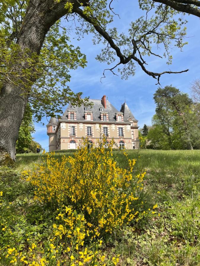 Chateau De Praslins Bed & Breakfast Nogent-sur-Vernisson Exterior photo