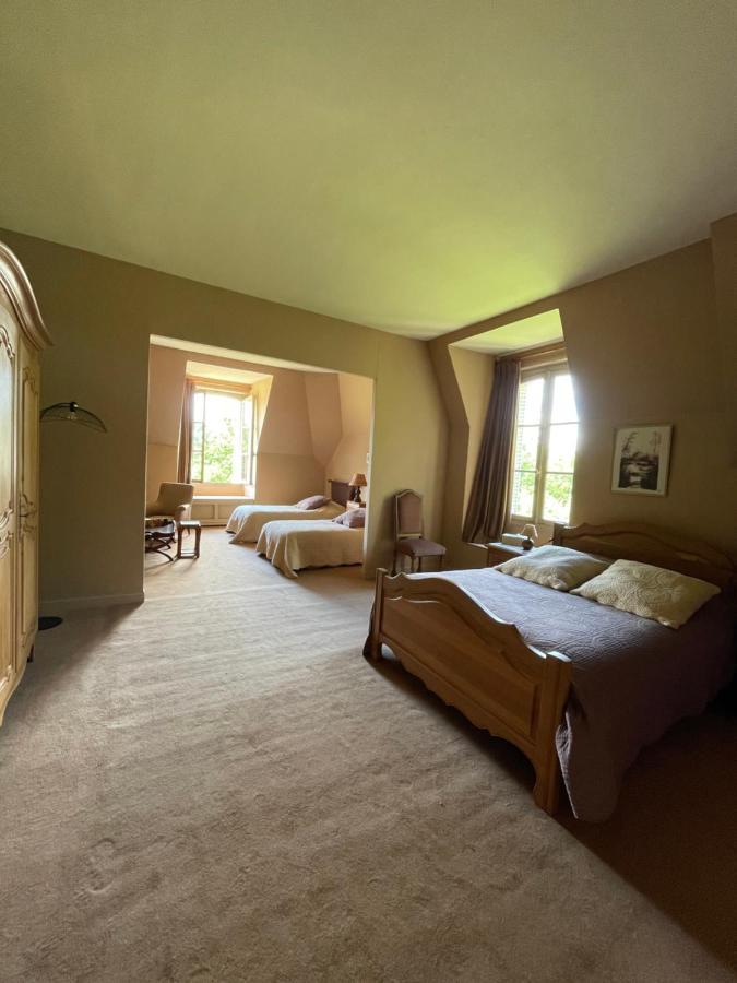 Chateau De Praslins Bed & Breakfast Nogent-sur-Vernisson Exterior photo